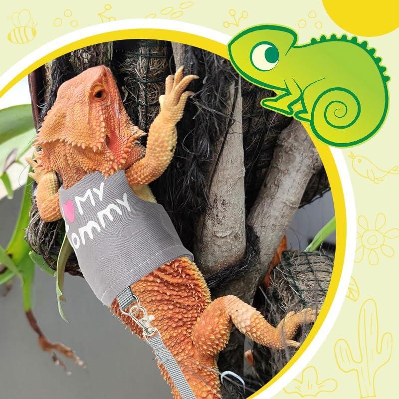 Correa y Arnés Ajustable HOKABLE para Dragón Barbudo Gris