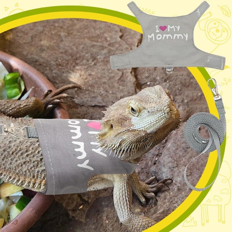 Correa y Arnés Ajustable HOKABLE para Dragón Barbudo Gris