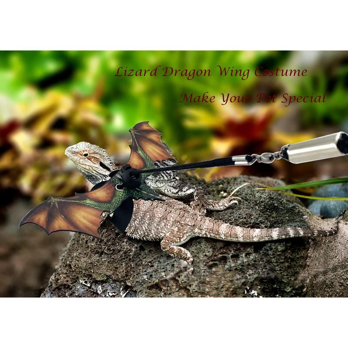 Arnés y Correa Ajustable Vehomy para Lagarto y Gecko