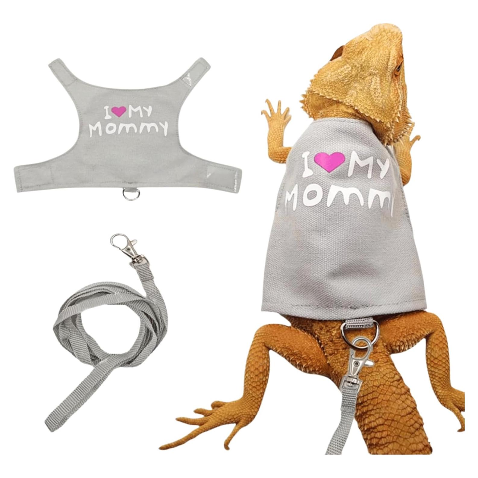Conjunto Arnés y Correa para Dragón Barbudo Copfeu Gris