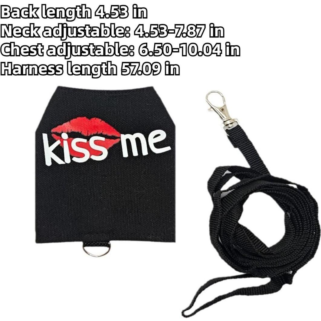 Conjunto Arnés y Correa para Dragón Barbudo Copfeu Gris