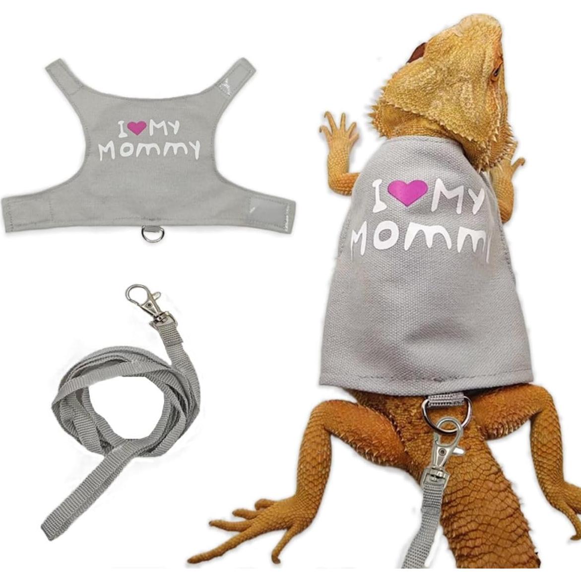 Conjunto Arnés y Correa para Dragón Barbudo Copfeu Gris