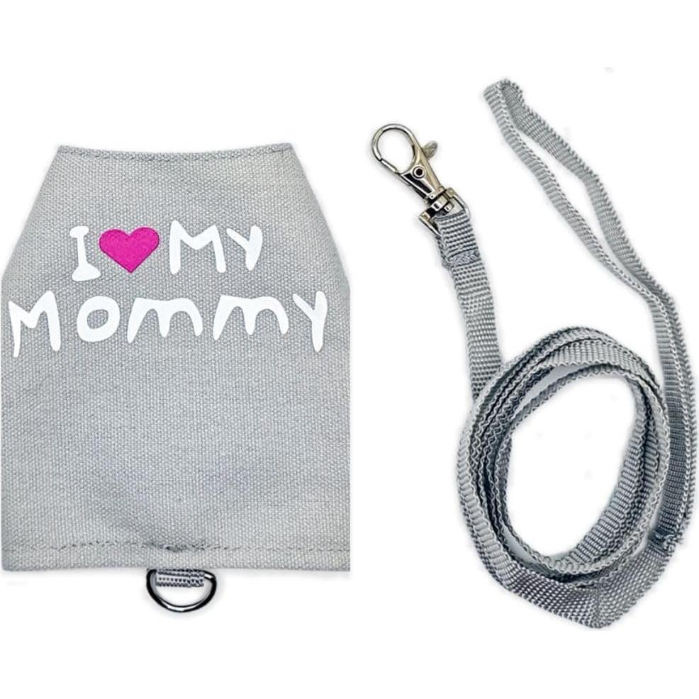 Conjunto Arnés y Correa para Dragón Barbudo Copfeu Gris