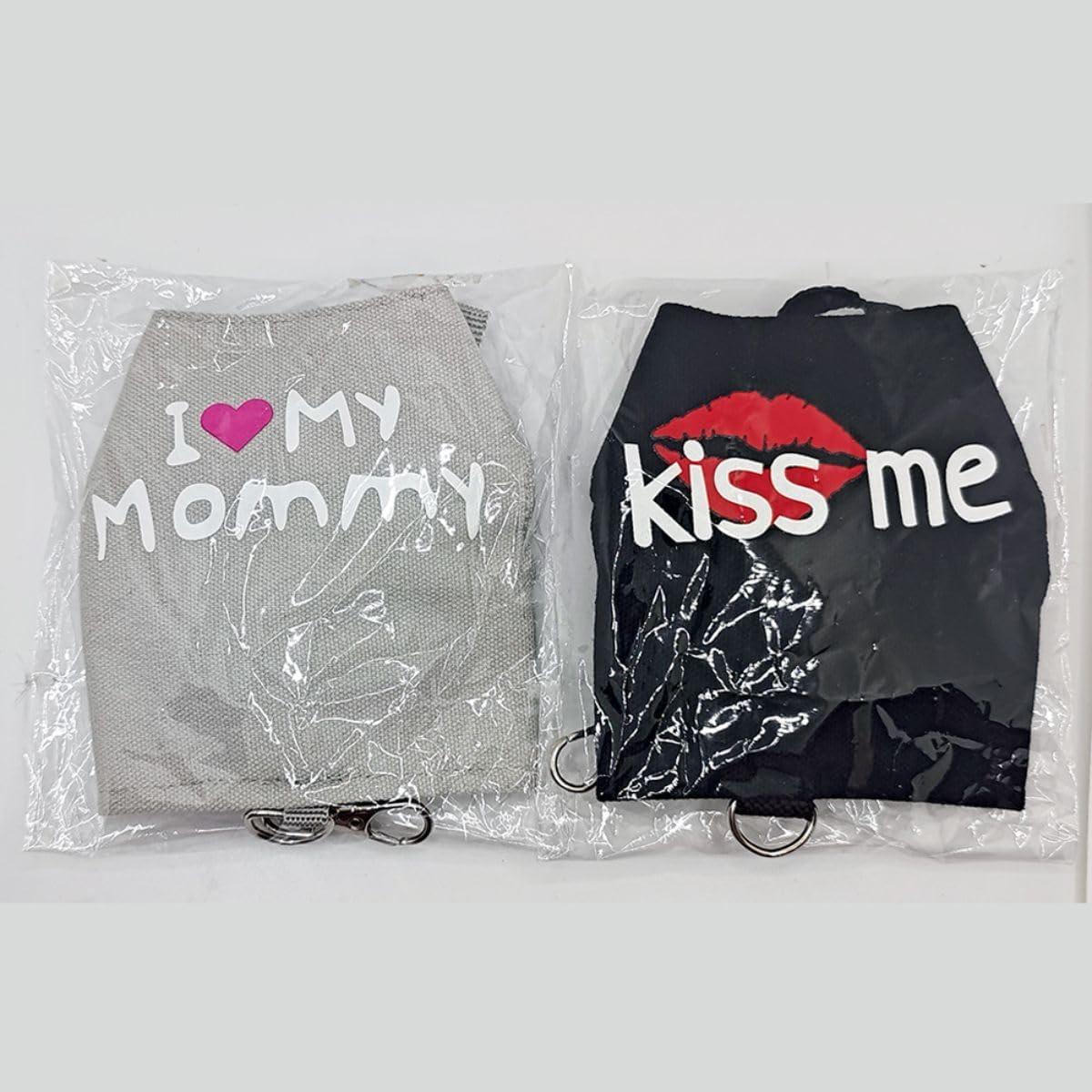 Conjunto Arnés y Correa para Dragón Barbudo Copfeu Gris