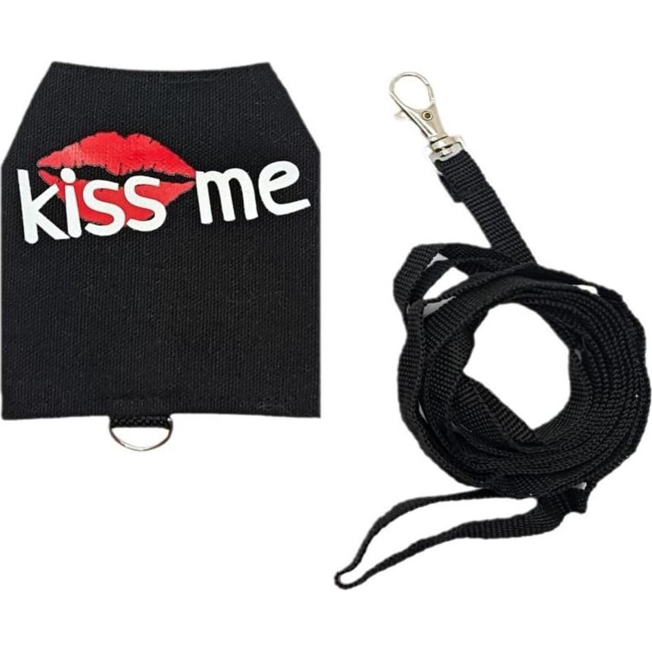 Conjunto Arnés y Correa para Dragón Barbudo Copfeu Gris