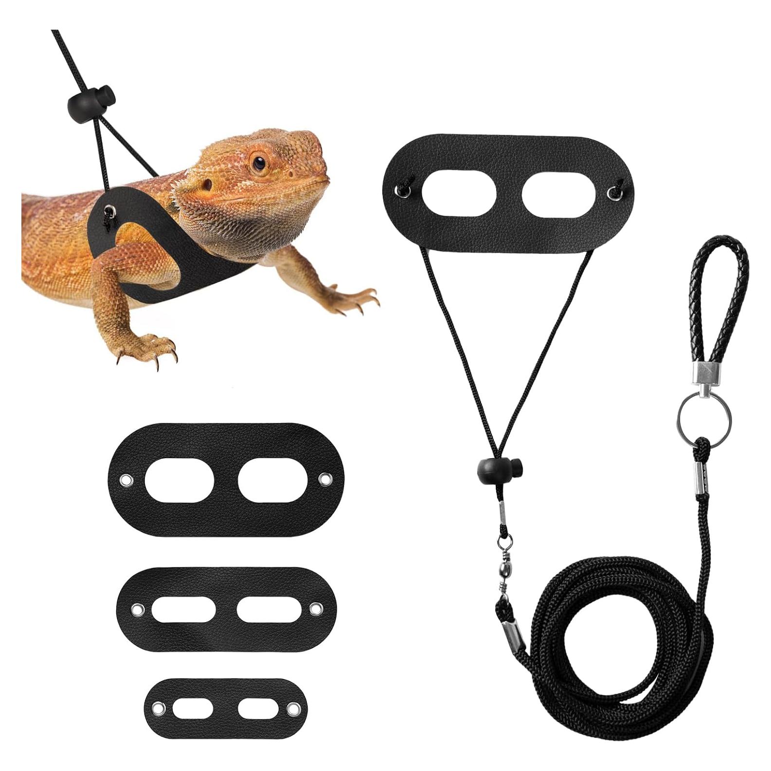 Conjunto Correa y Arnés Ajustable Jestrem para Dragón Barbudo