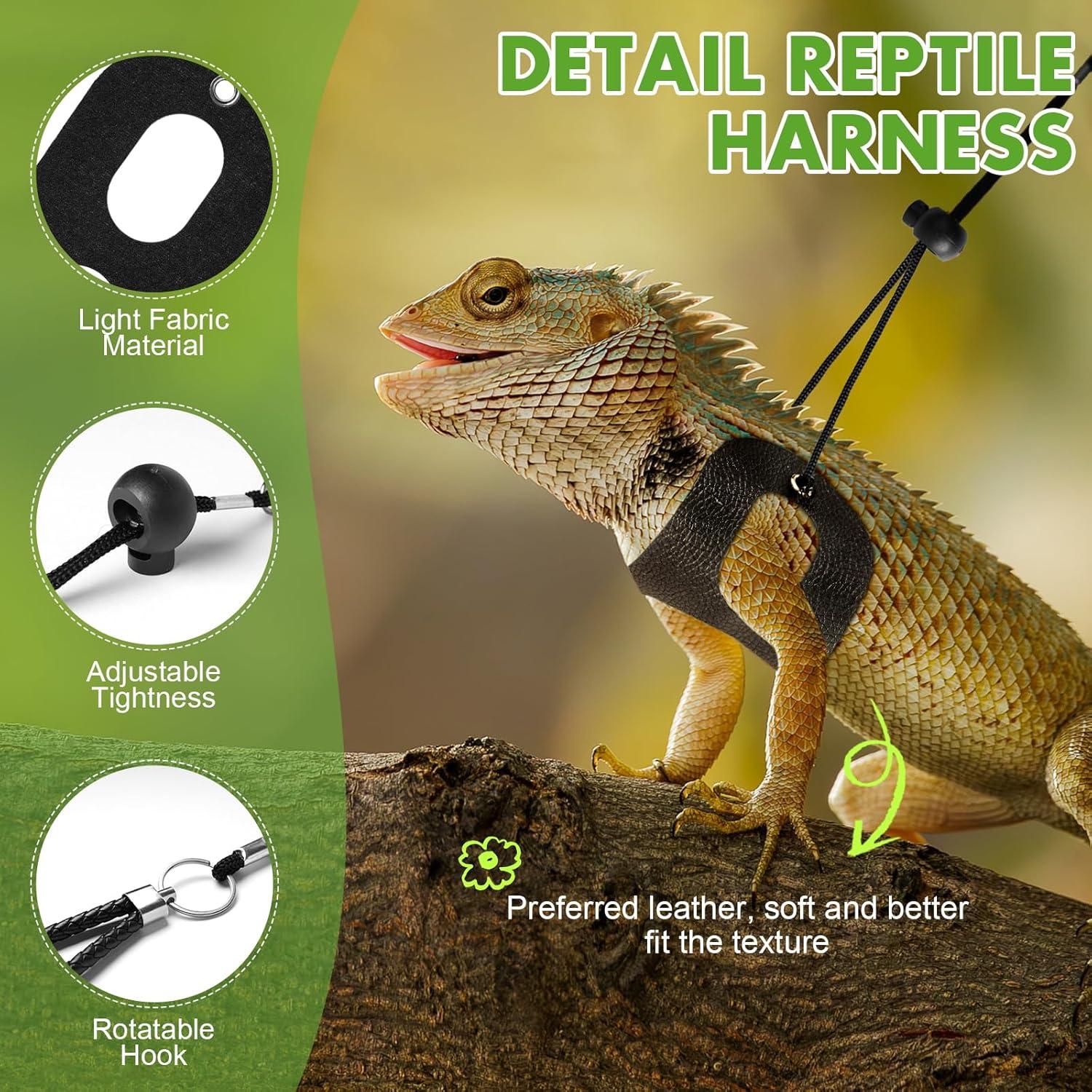 Conjunto Correa y Arnés Ajustable Jestrem para Dragón Barbudo