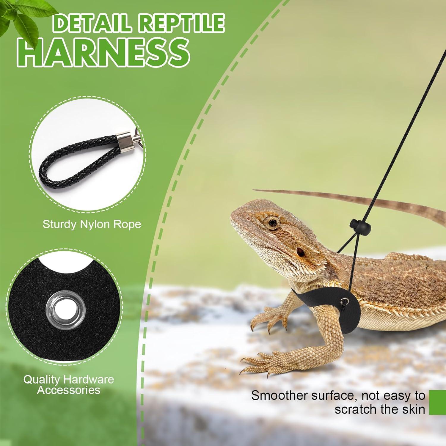 Conjunto Correa y Arnés Ajustable Jestrem para Dragón Barbudo