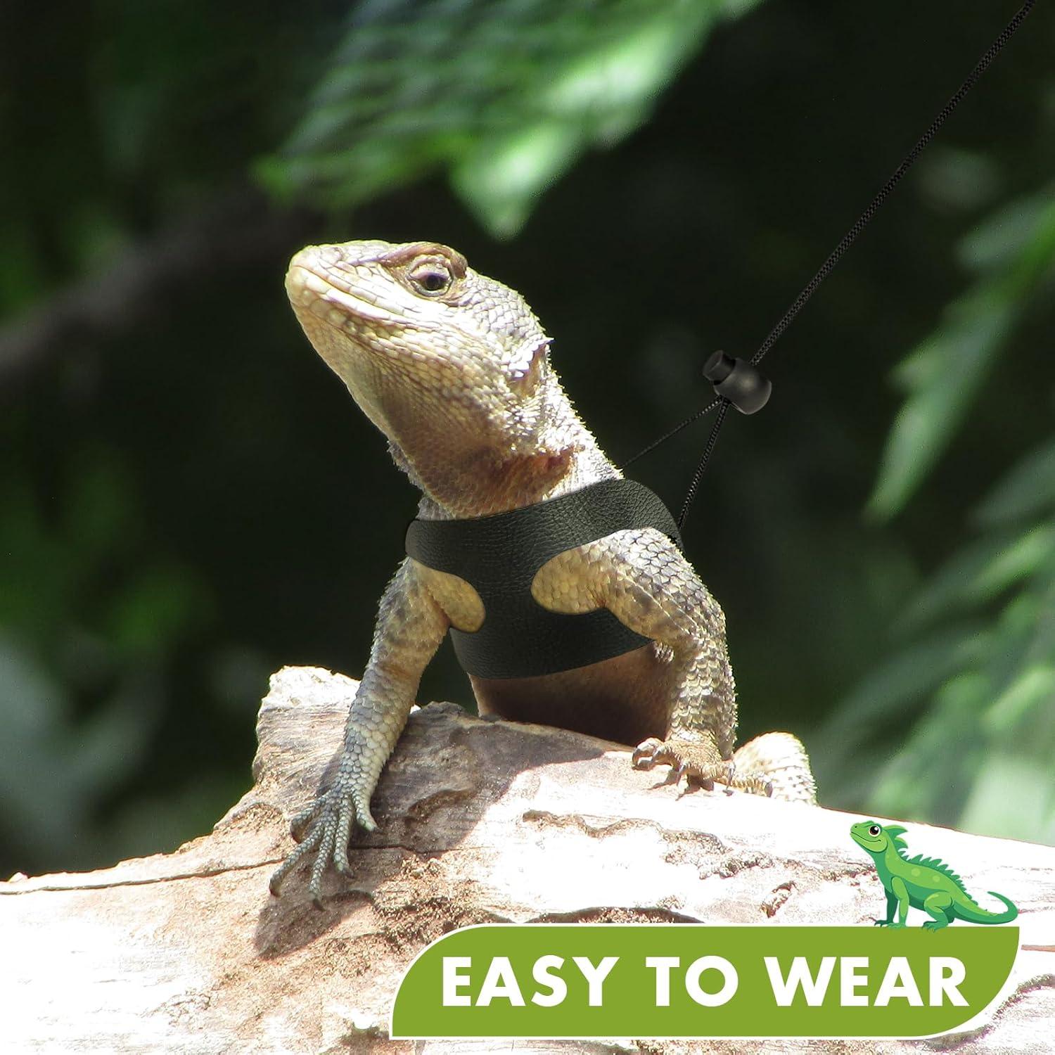 Conjunto Correa y Arnés Ajustable Jestrem para Dragón Barbudo