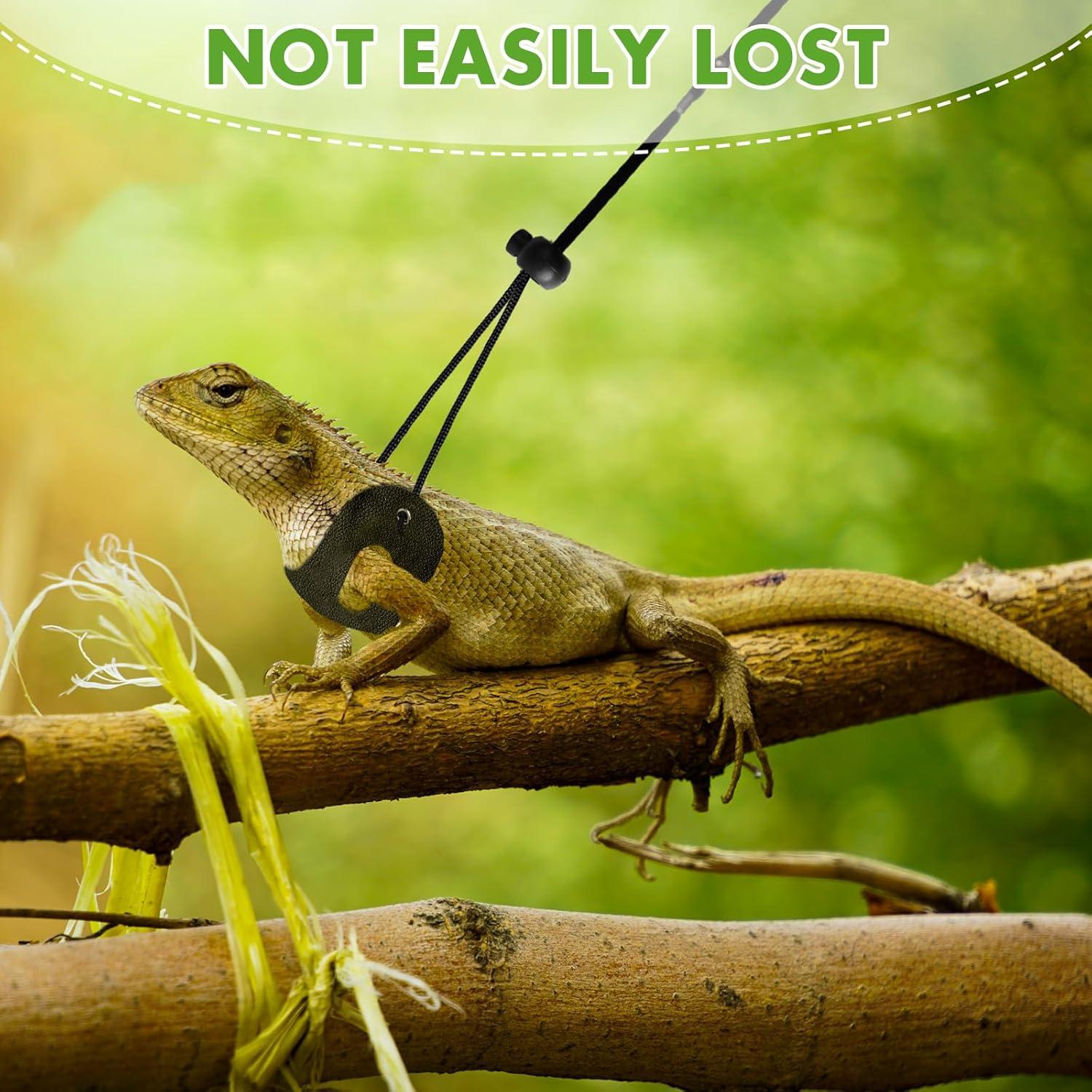 Conjunto Correa y Arnés Ajustable Jestrem para Dragón Barbudo