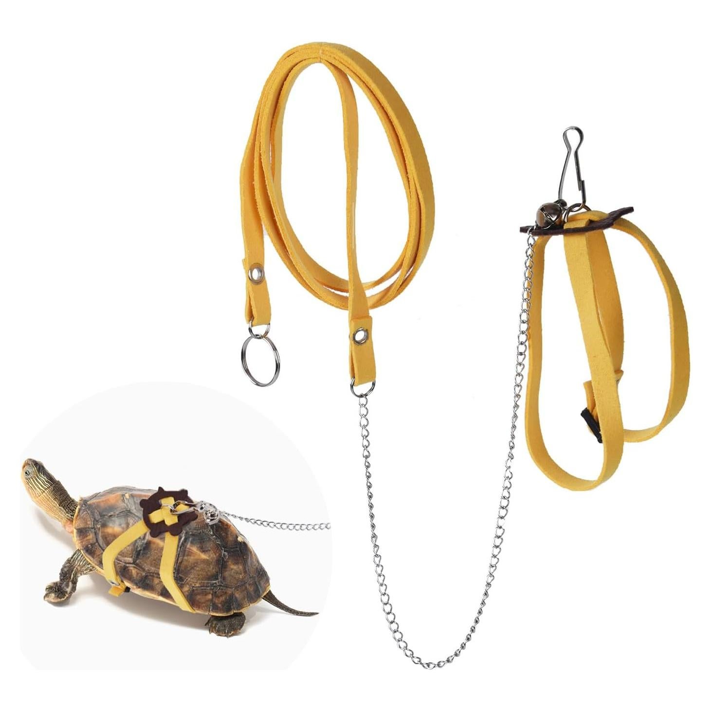 Correa Ajustable para Tortuga YeeBeny - Entrenamiento y Seguridad