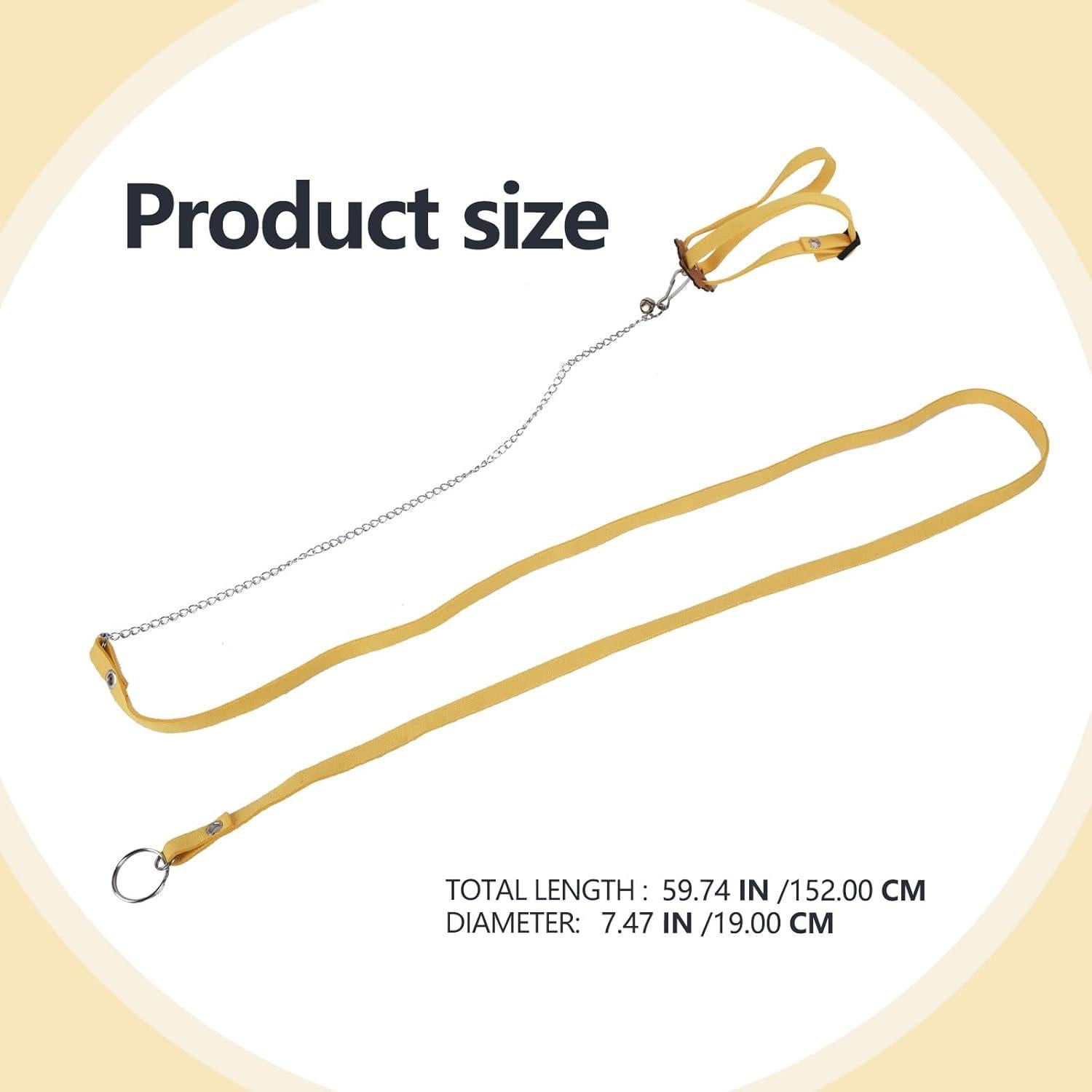 Correa Ajustable para Tortuga YeeBeny - Entrenamiento y Seguridad