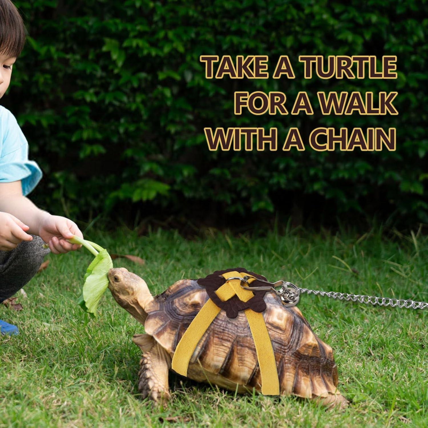 Correa Ajustable para Tortuga YeeBeny - Entrenamiento y Seguridad