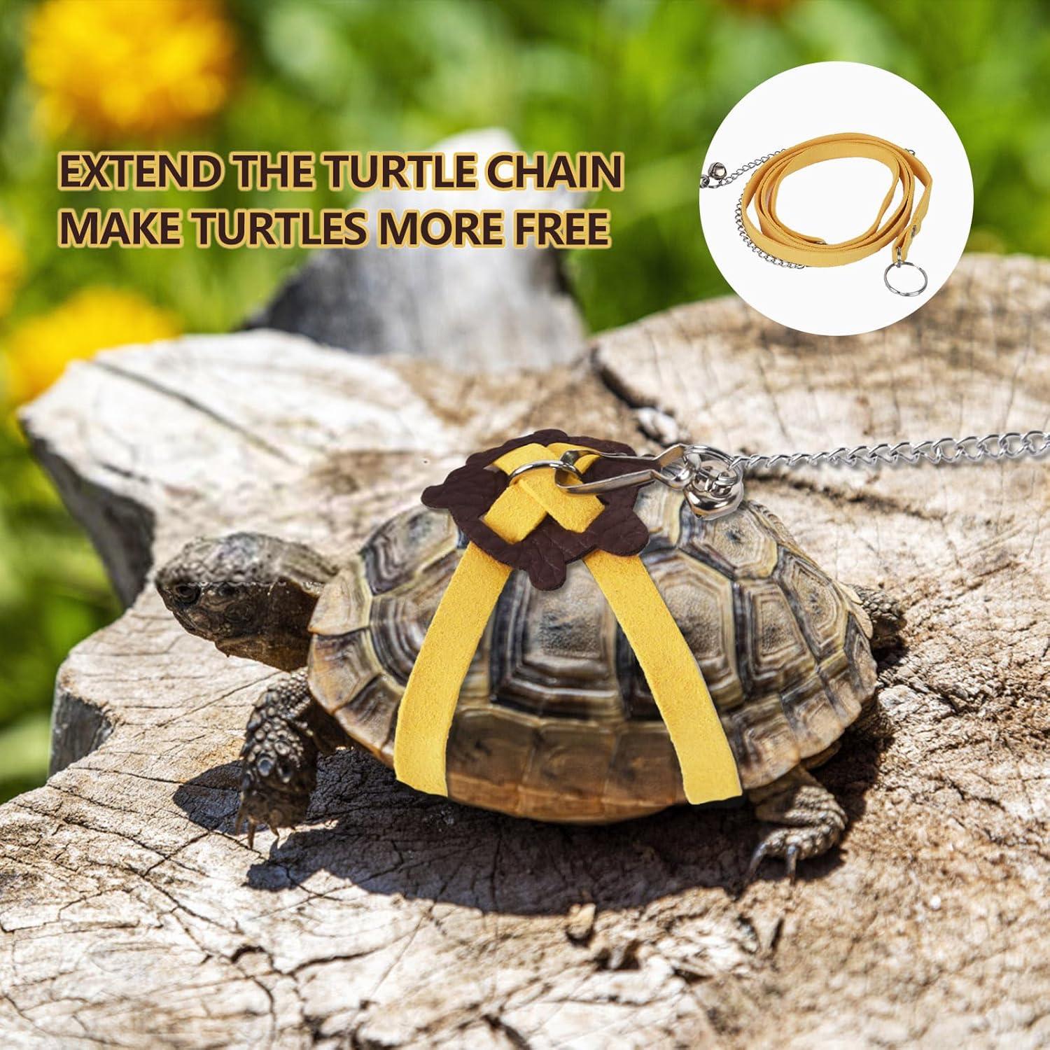 Correa Ajustable para Tortuga YeeBeny - Entrenamiento y Seguridad