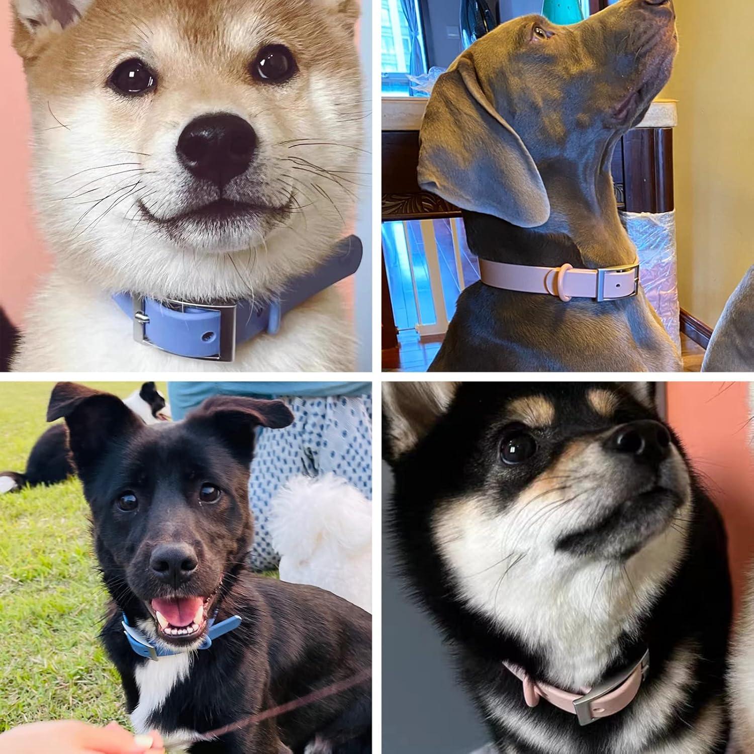 Conjunto Collar y Correa para Perro ZALER Ajustable Impermeable L Verde