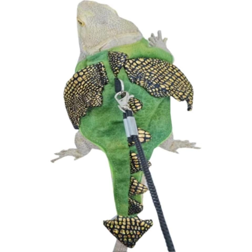 Conjunto Arnés y Correa Ajustable KUNBIUH para Dragón Barbudo