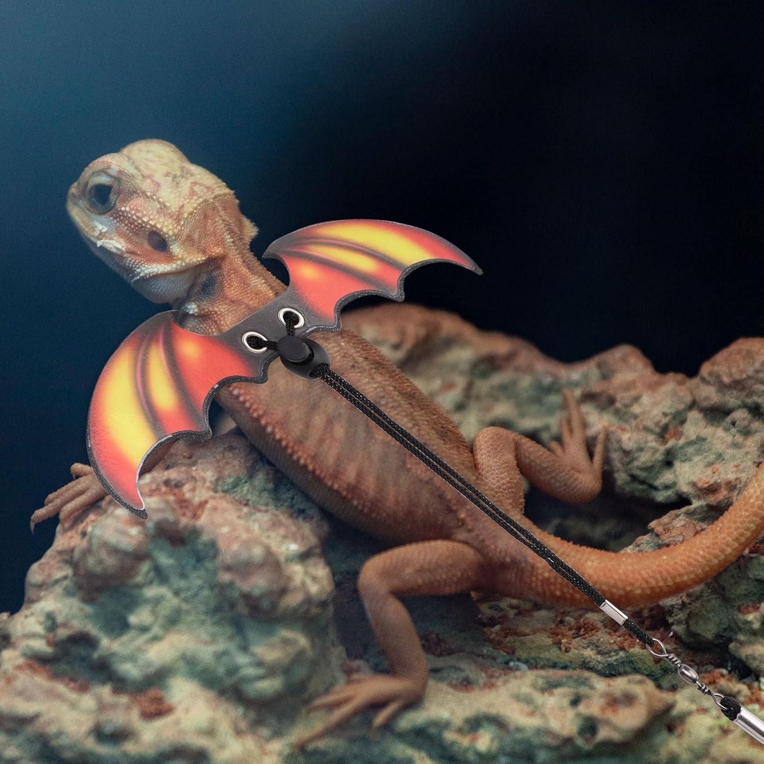 Conjunto Arnés y Correa para Dragón Barbudo PEUTIER 207.5cm