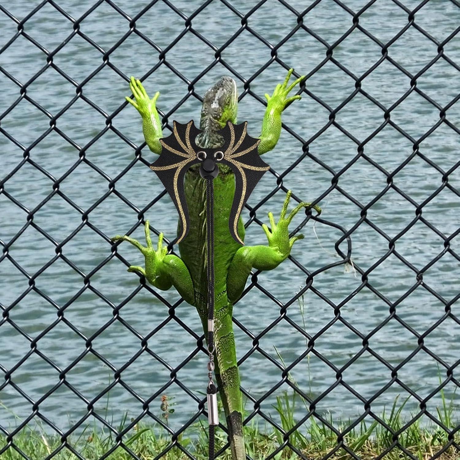 Conjunto Arnés y Correa para Dragón Barbudo PEUTIER 207.5cm