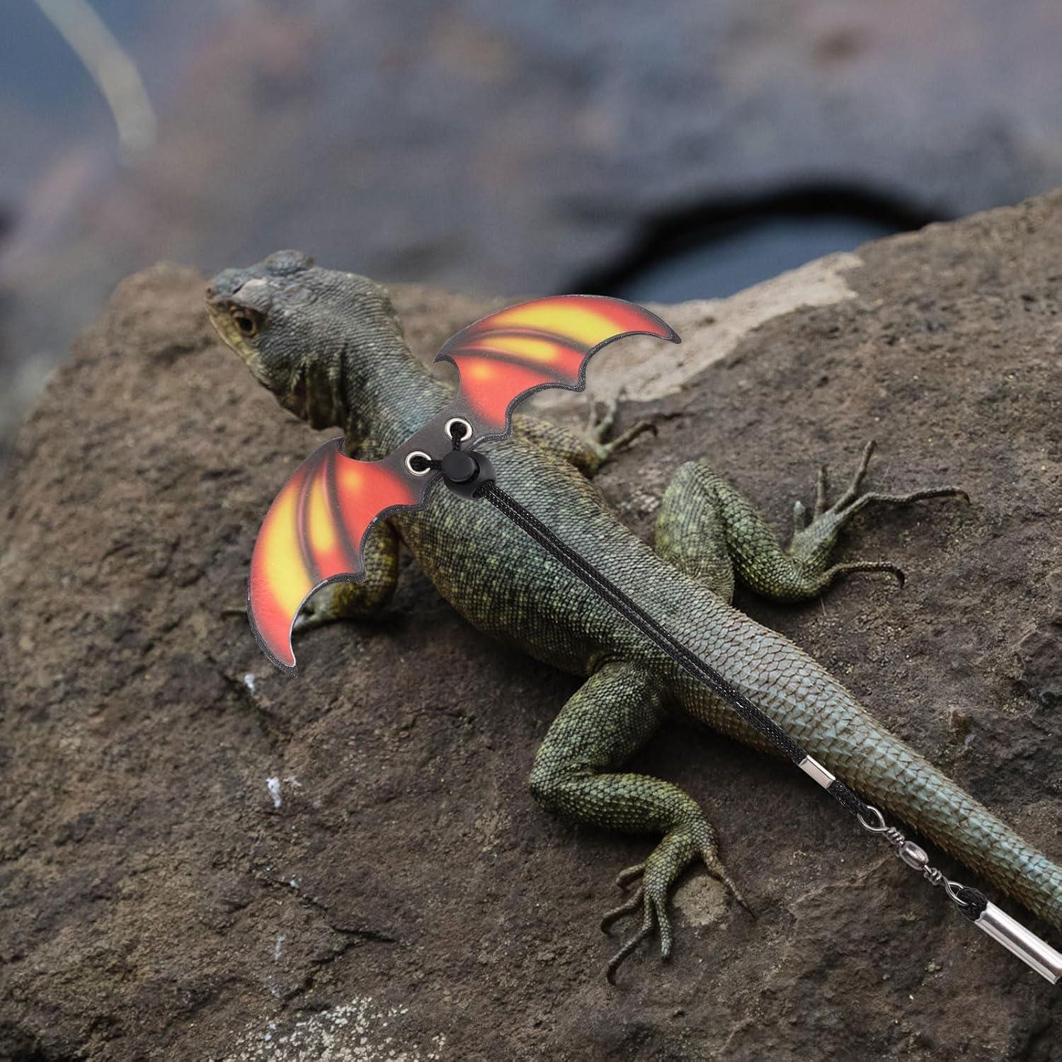Conjunto Arnés y Correa para Dragón Barbudo PEUTIER 207.5cm
