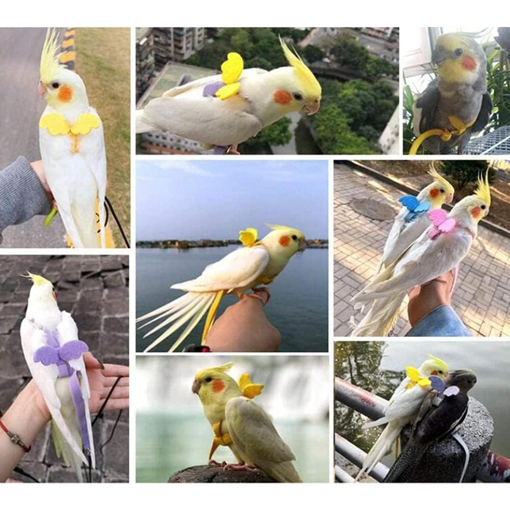 Arnés y Correa Ajustables para Aves Forzena XL Rosa 2M