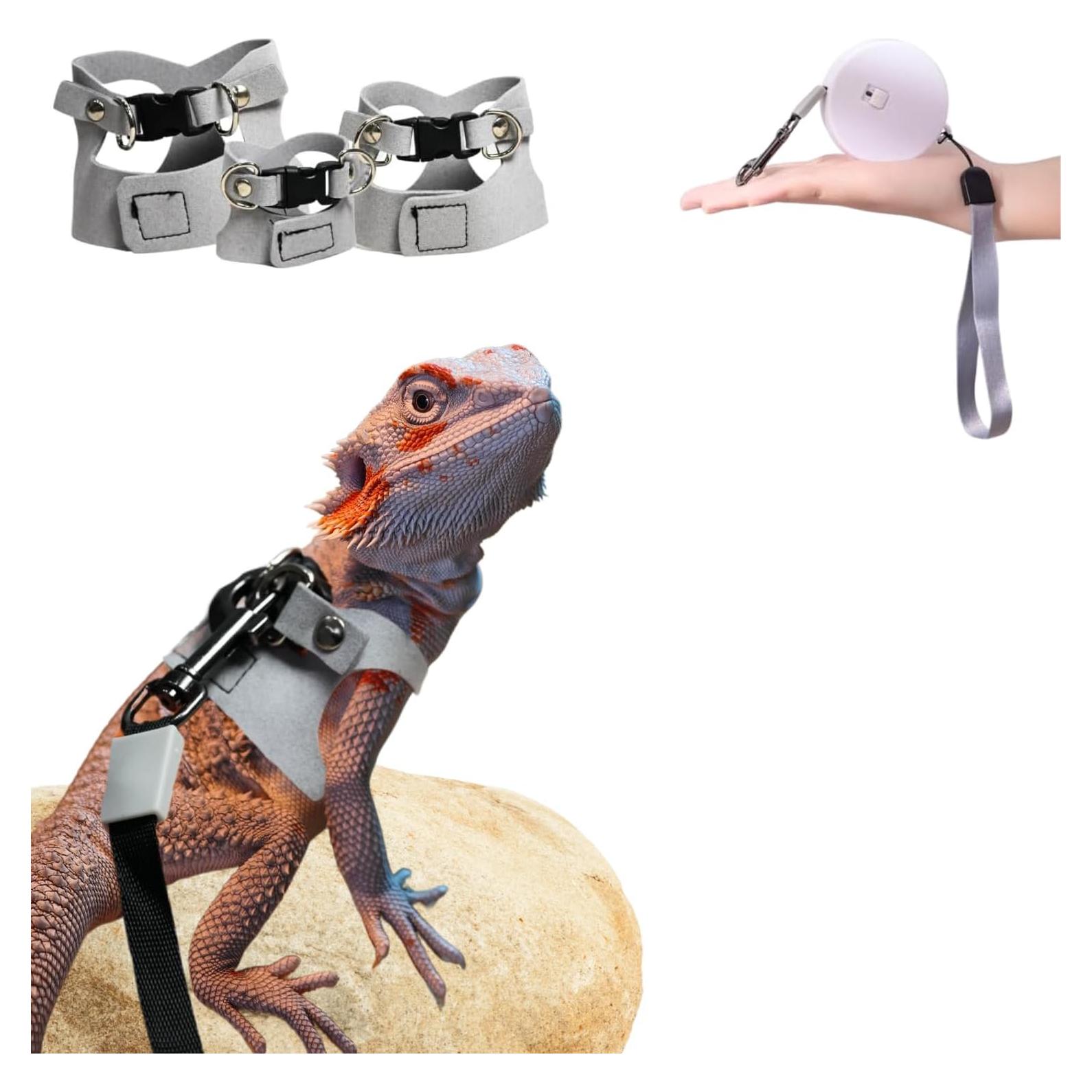 Juego de Arnés y Correa TTMIMIK para Dragón Barbudo - 3 Tamaños