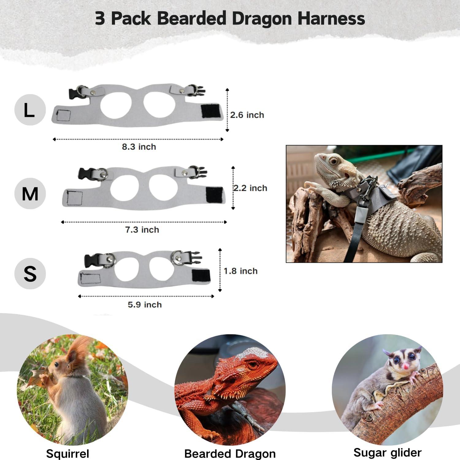 Juego de Arnés y Correa TTMIMIK para Dragón Barbudo - 3 Tamaños