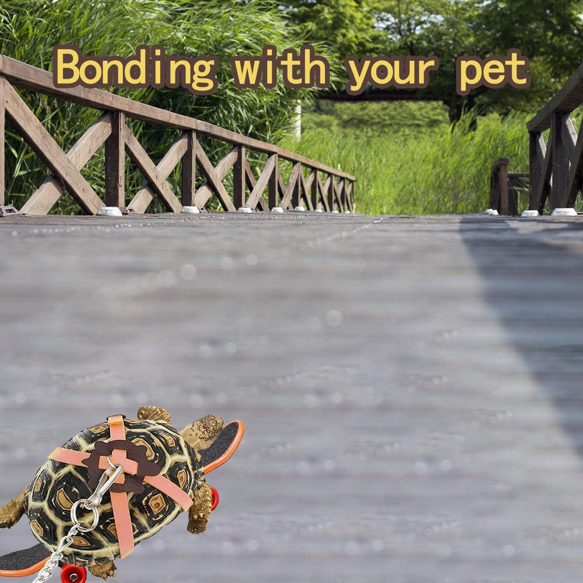 Correa Ajustable para Tortuga LIhang - Set Patineta y Arnés Pequeño Rosa