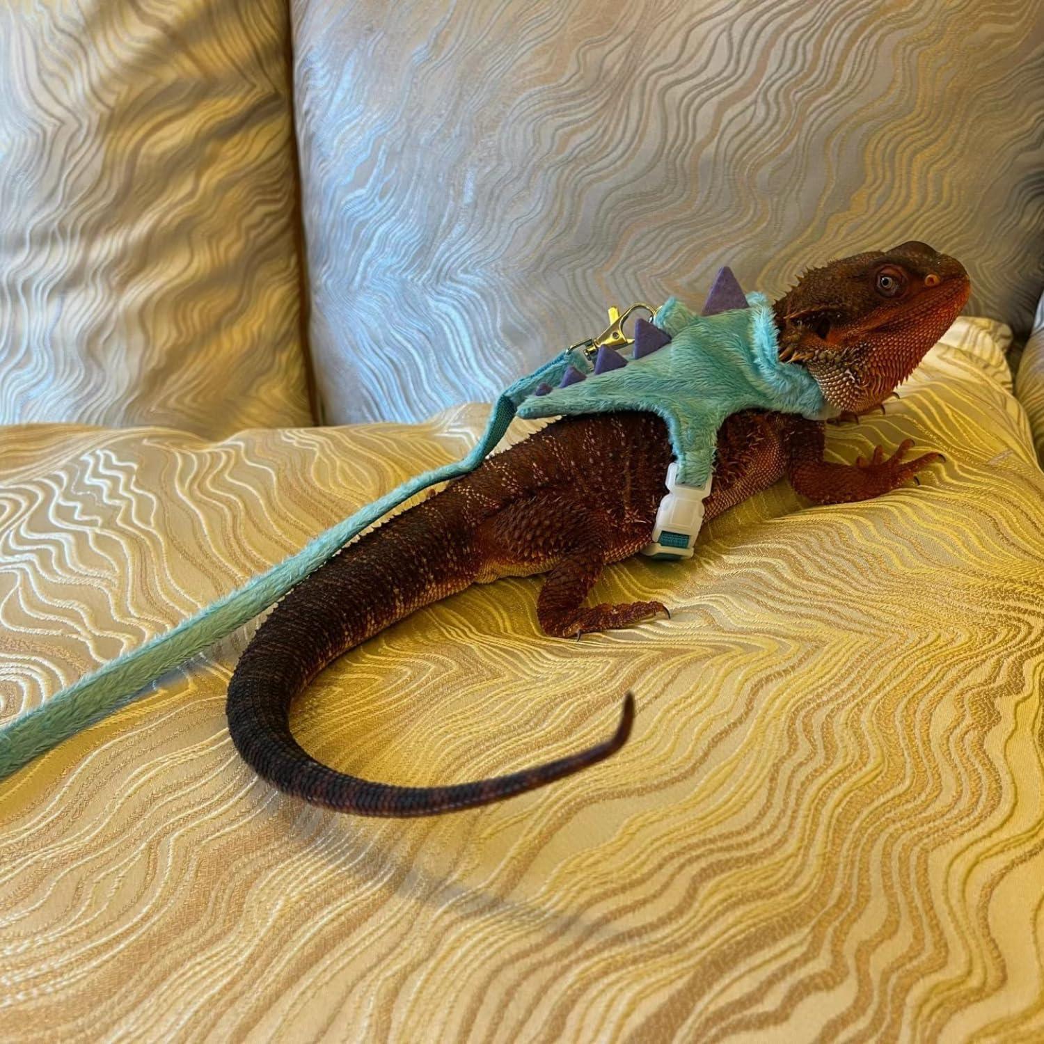 Conjunto Arnés y Correa SEZDEKI para Dragón Barbudo Azul