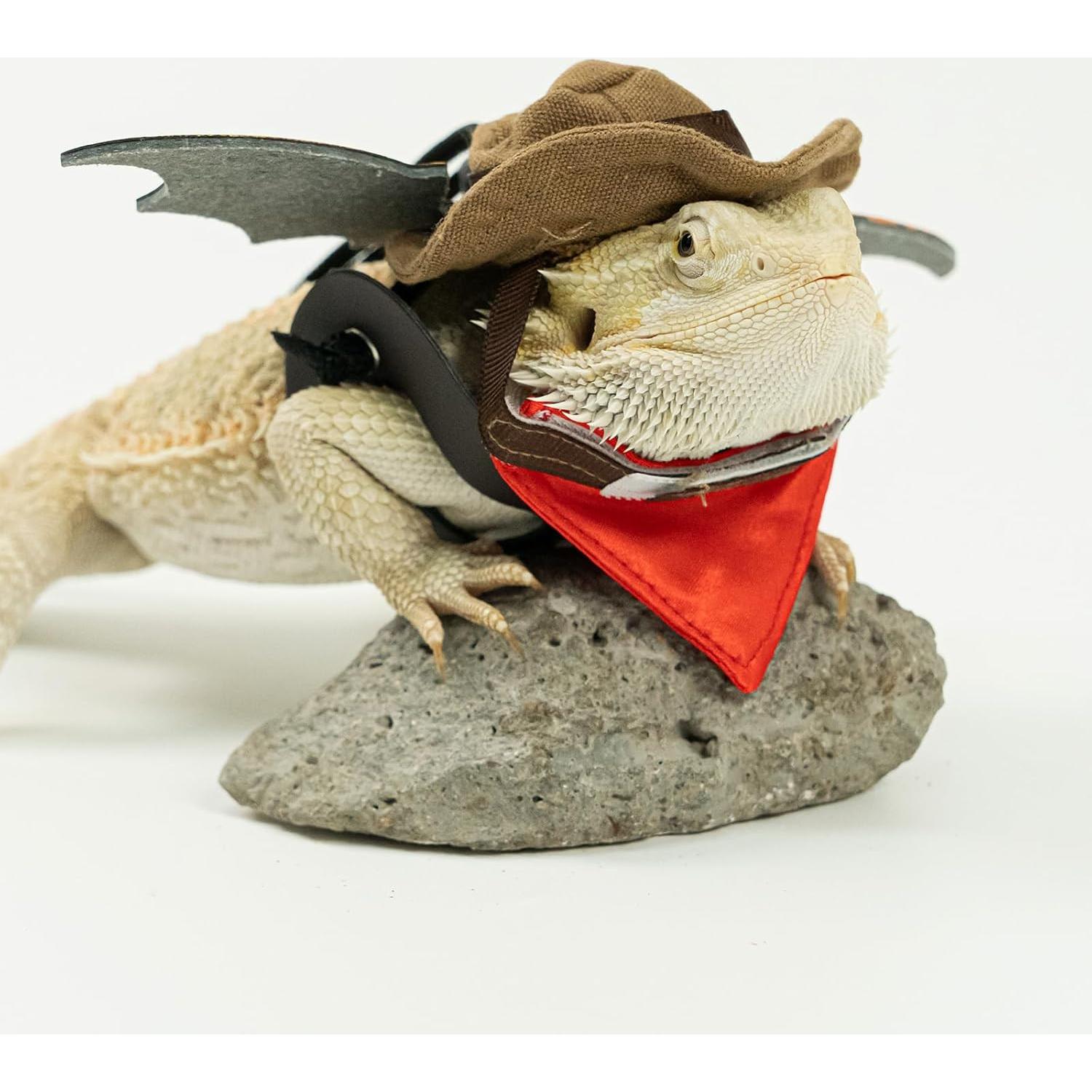 Disfraz para Dragón Barbudo WODISON con Sombrero y Alas