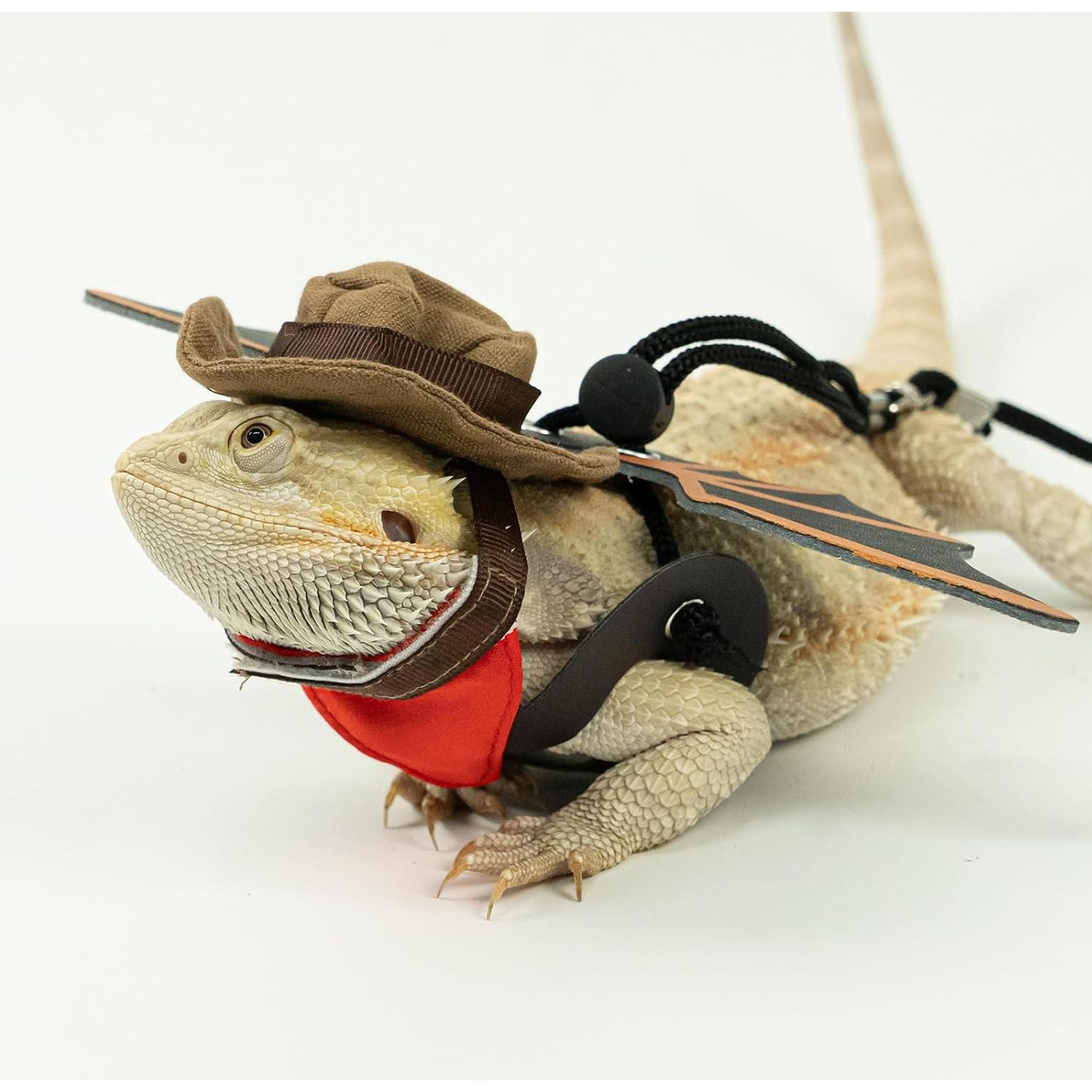 Disfraz para Dragón Barbudo WODISON con Sombrero y Alas