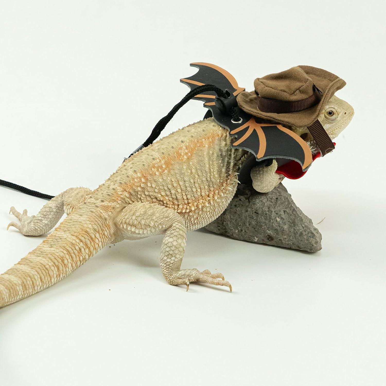 Disfraz para Dragón Barbudo WODISON con Sombrero y Alas