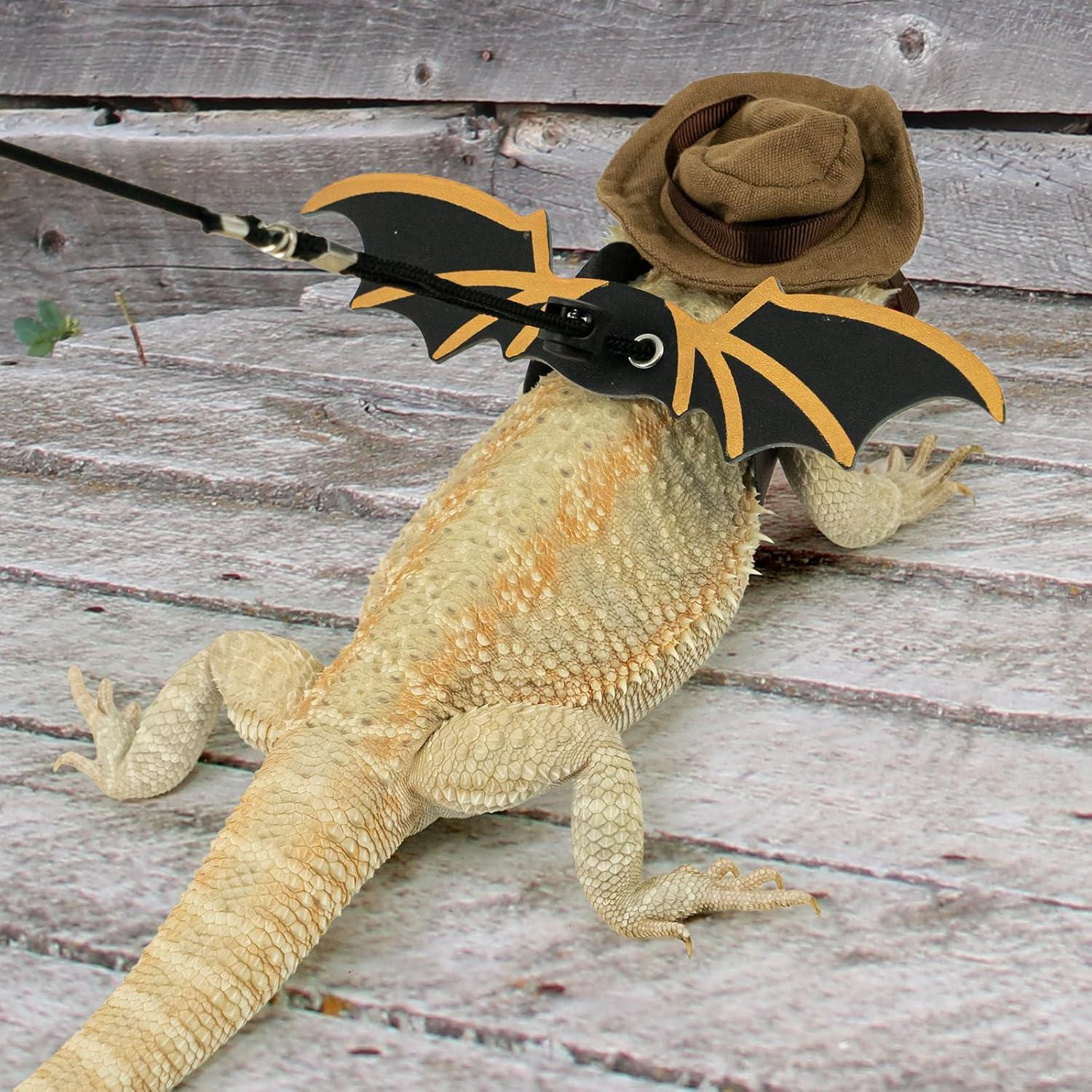 Disfraz para Dragón Barbudo WODISON con Sombrero y Alas