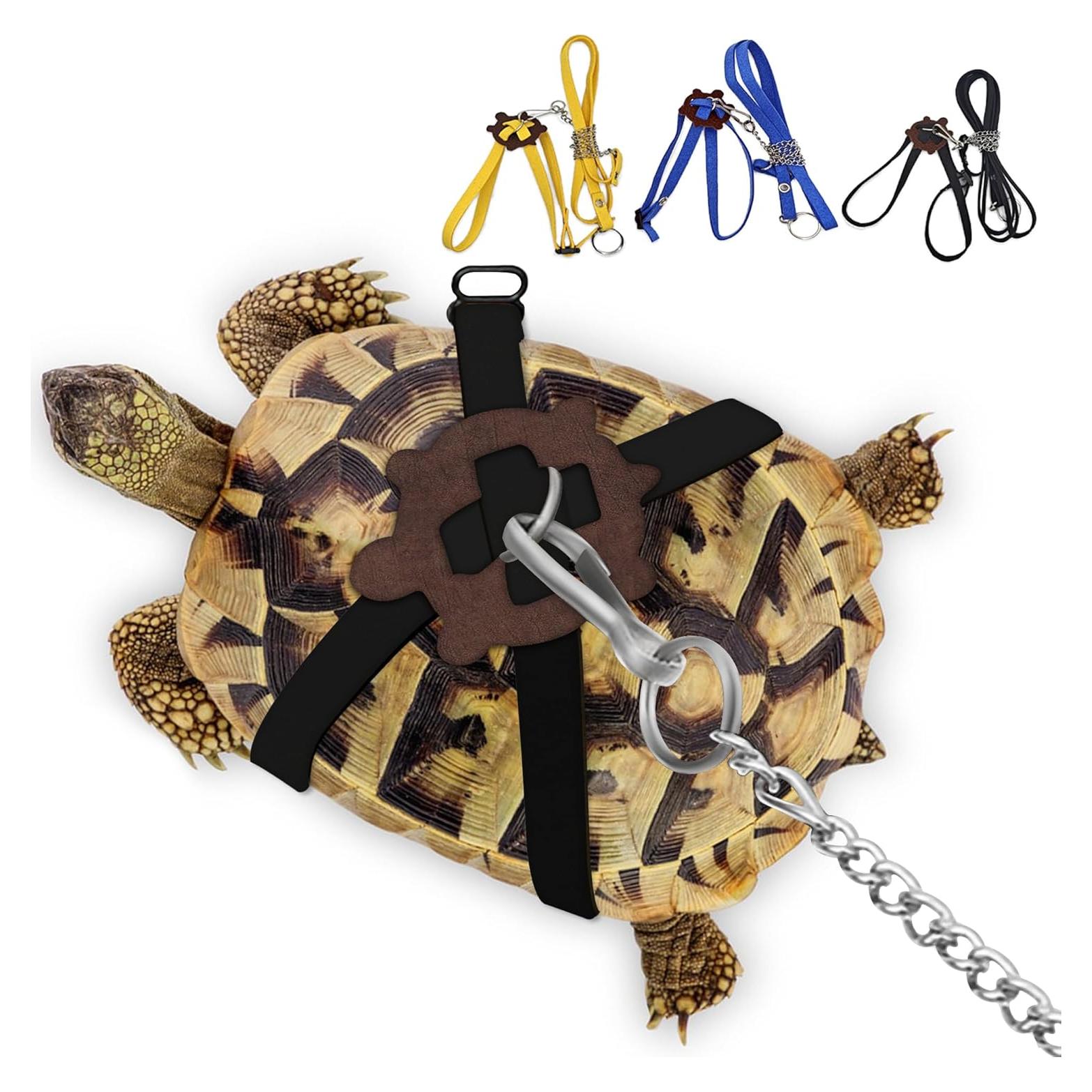 Arnés y Correa de Cuero HOKABLE para Tortugas - Tamaño S Negro