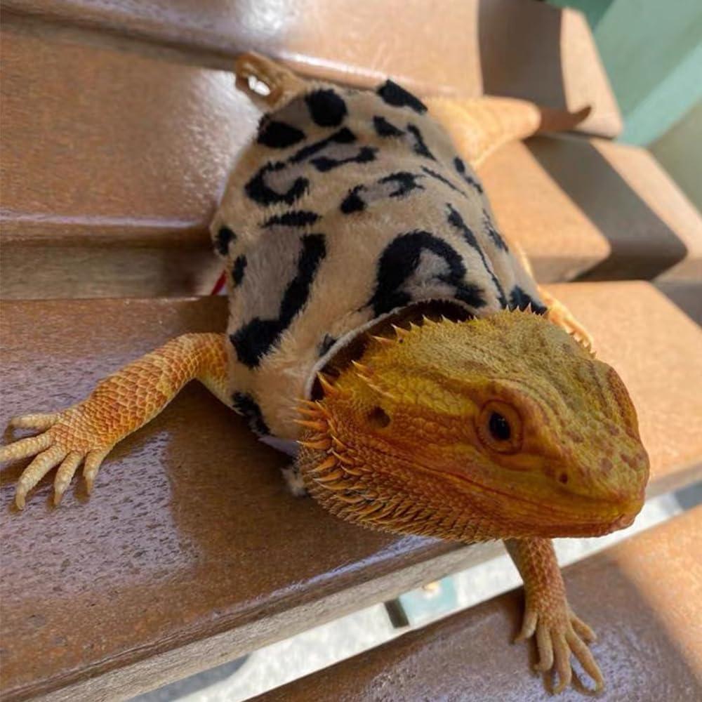 Ropa para Lagartos Anelekor con Correa y Sudadera Leopardo