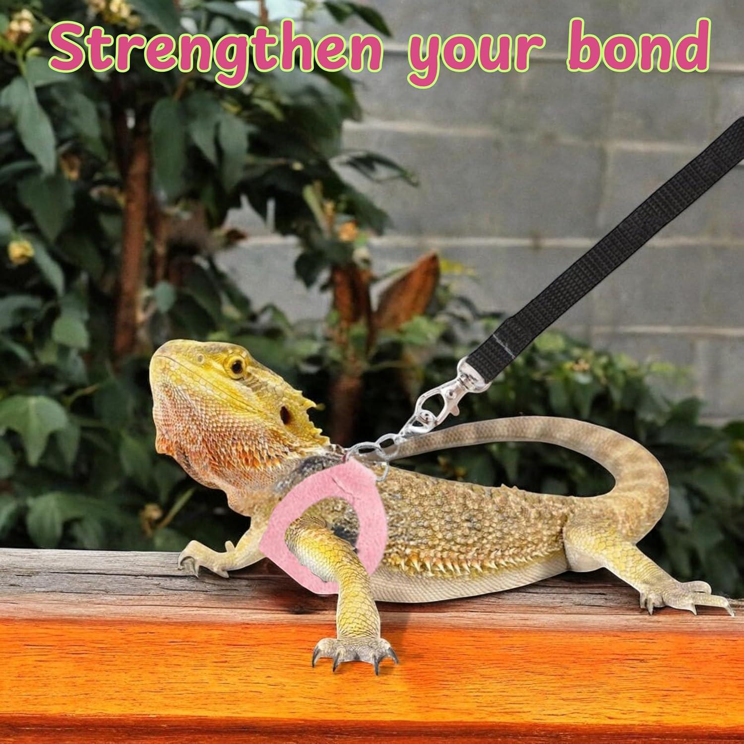 Arnés y Correa para Dragón Barbudo Homedy Conejo Rosa