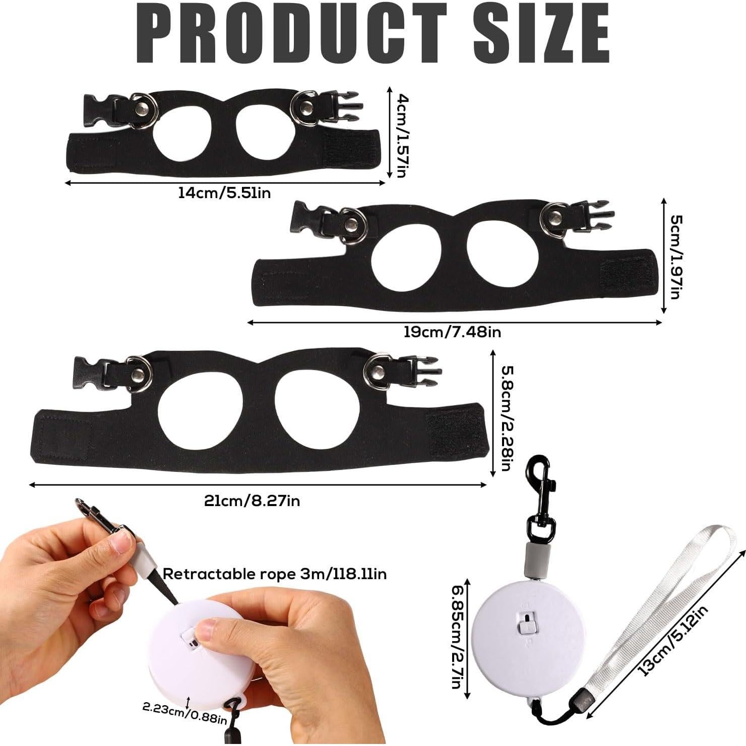 Conjunto Arnés y Correa Retráctil Dragón Barbudo Gosknor