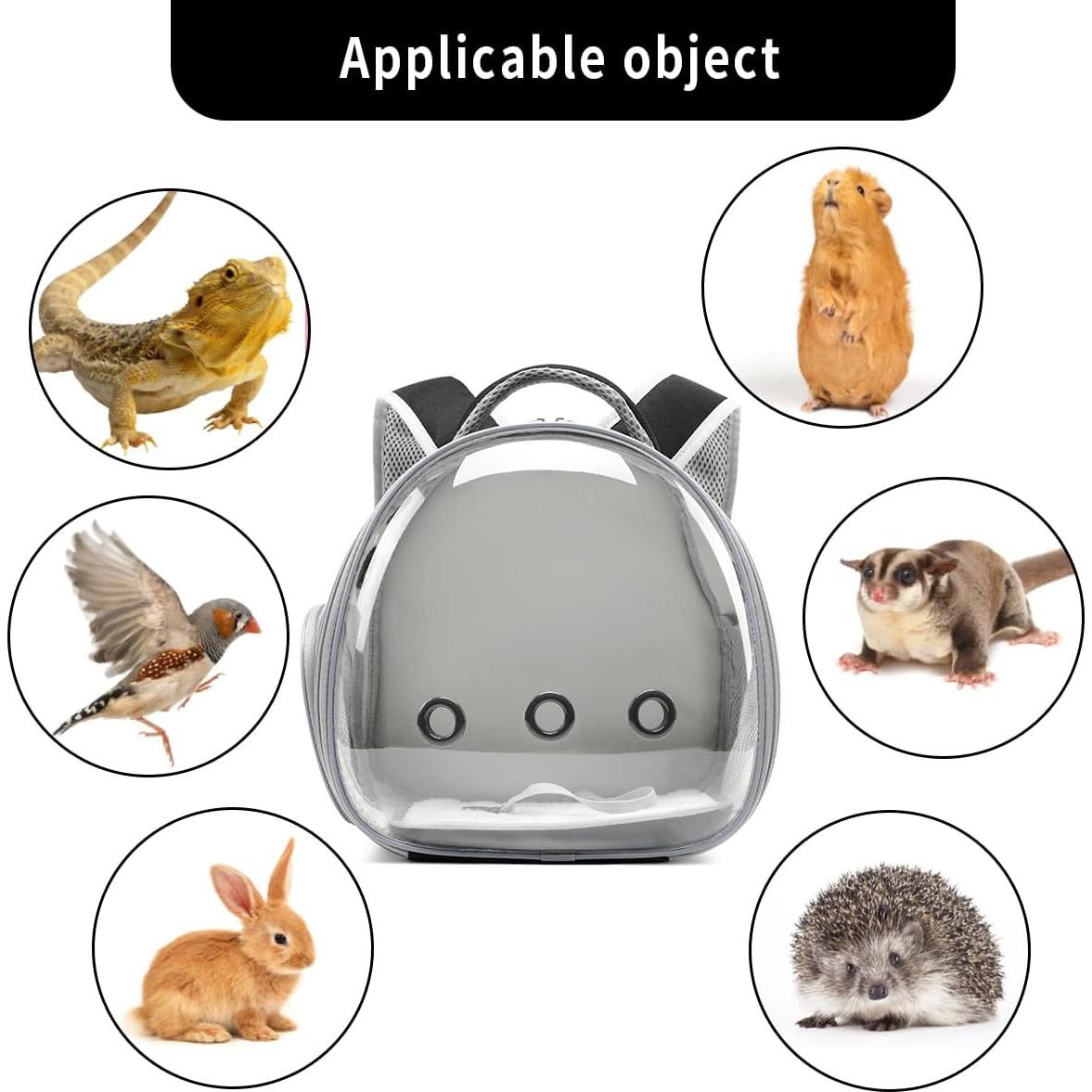 Transportador de Mochila para Dragón Barbudo uoopet Negro 30x21x32cm