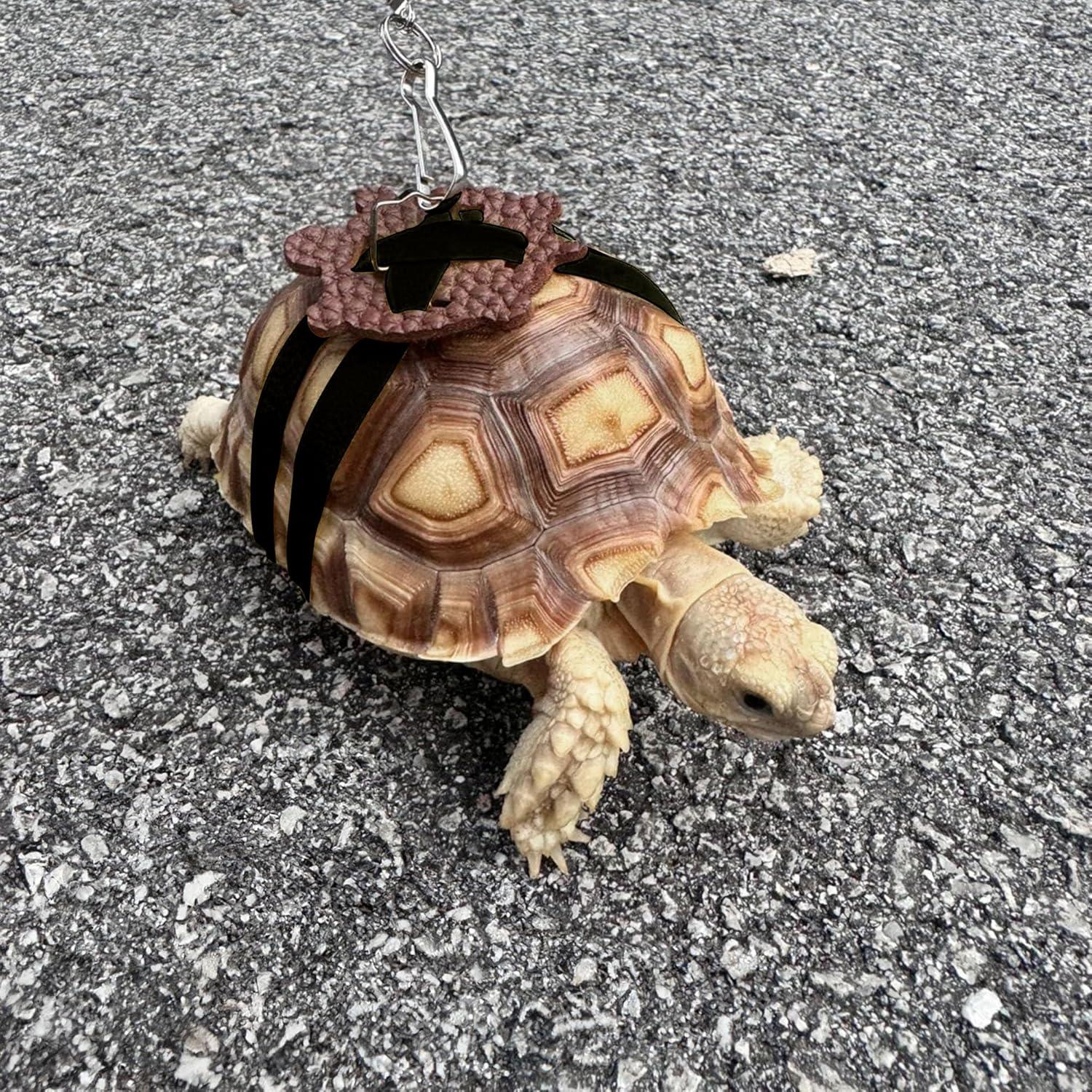 Correa Ajustable para Tortuga y Patineta Mini JJMOLLE