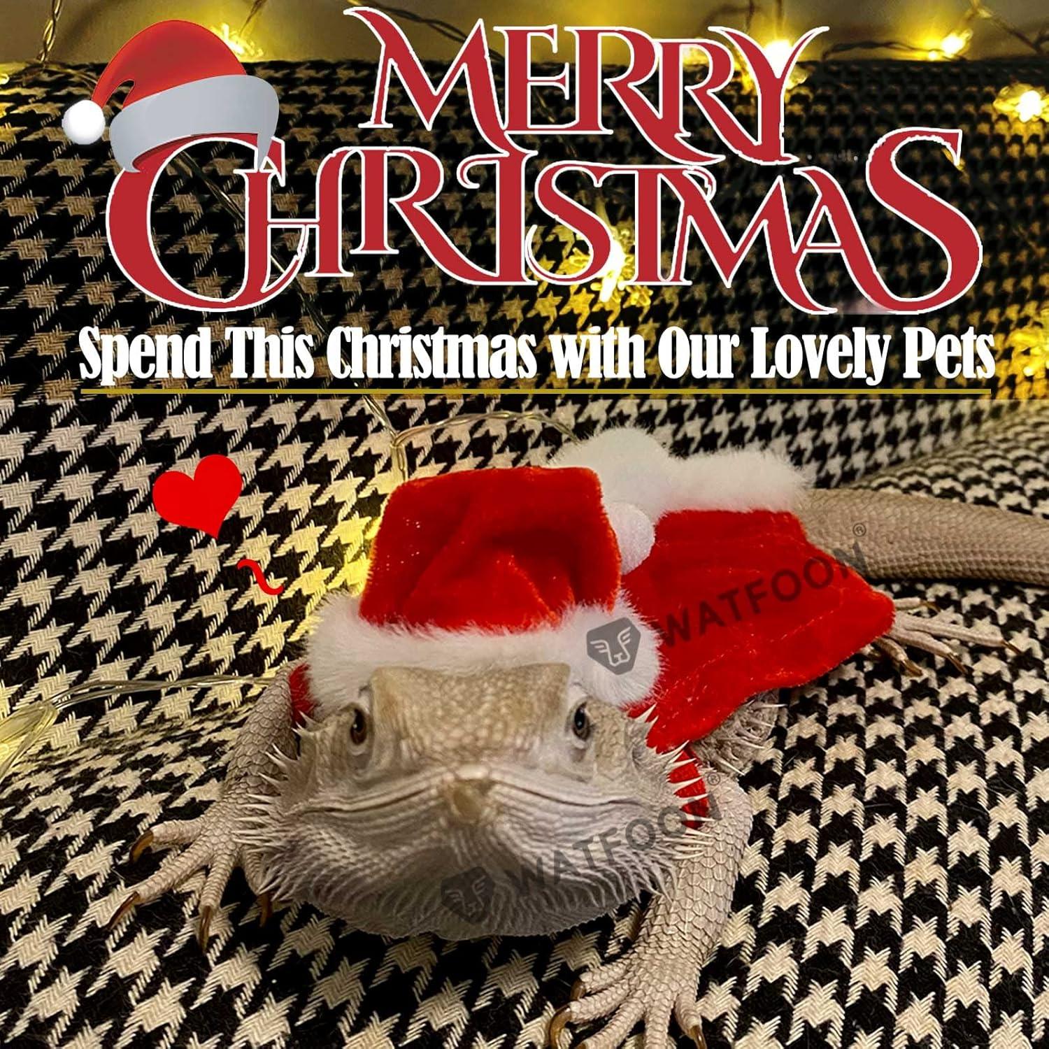 Disfraz Navideño para Reptiles Watfoon Pets - 10 Sombreros