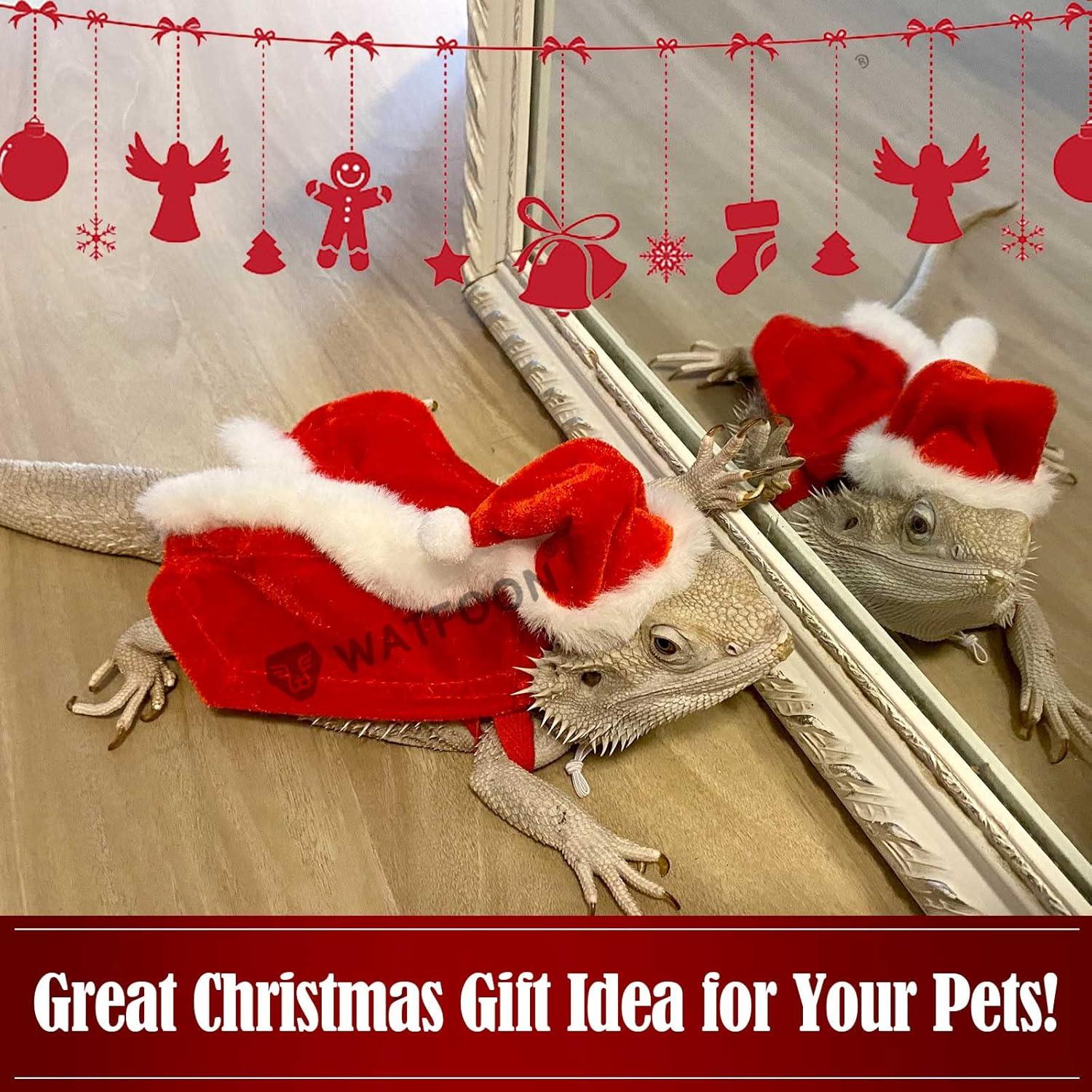 Disfraz Navideño para Reptiles Watfoon Pets - 10 Sombreros