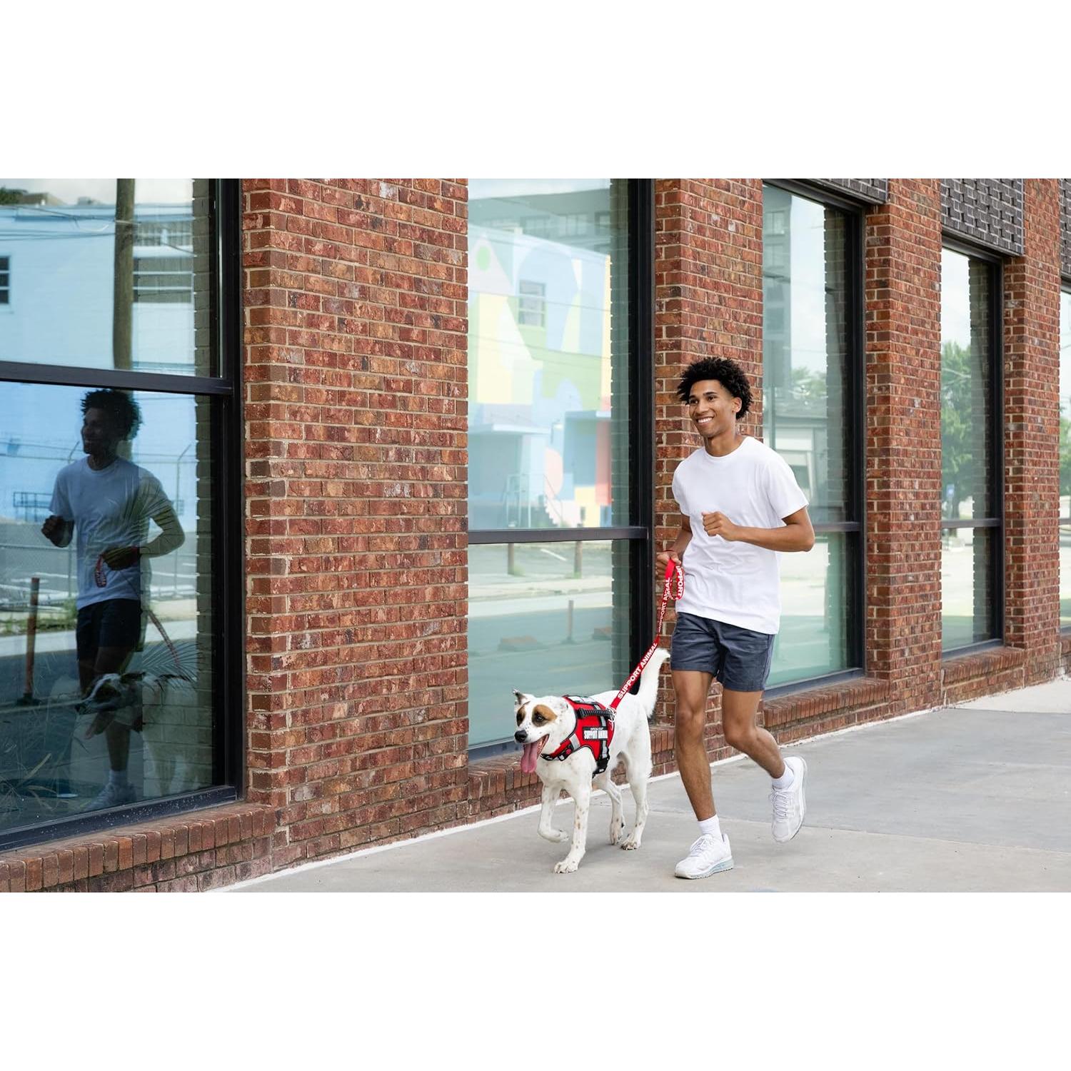 Correa para Perros ESA Support Pets - Nylon Resistente 12.7x9.2cm