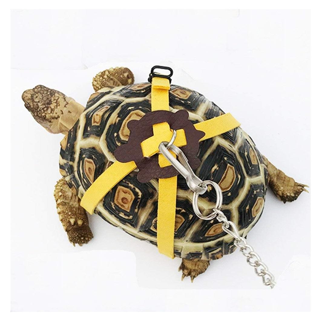 Correa de Arnés de Cuero para Tortuga Ebamaz - Tamaño M