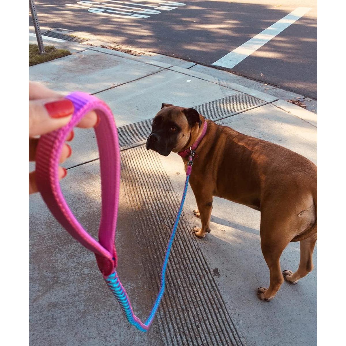 Correa Reflectante para Perros Mycicy 1.83m Rosa Nylon