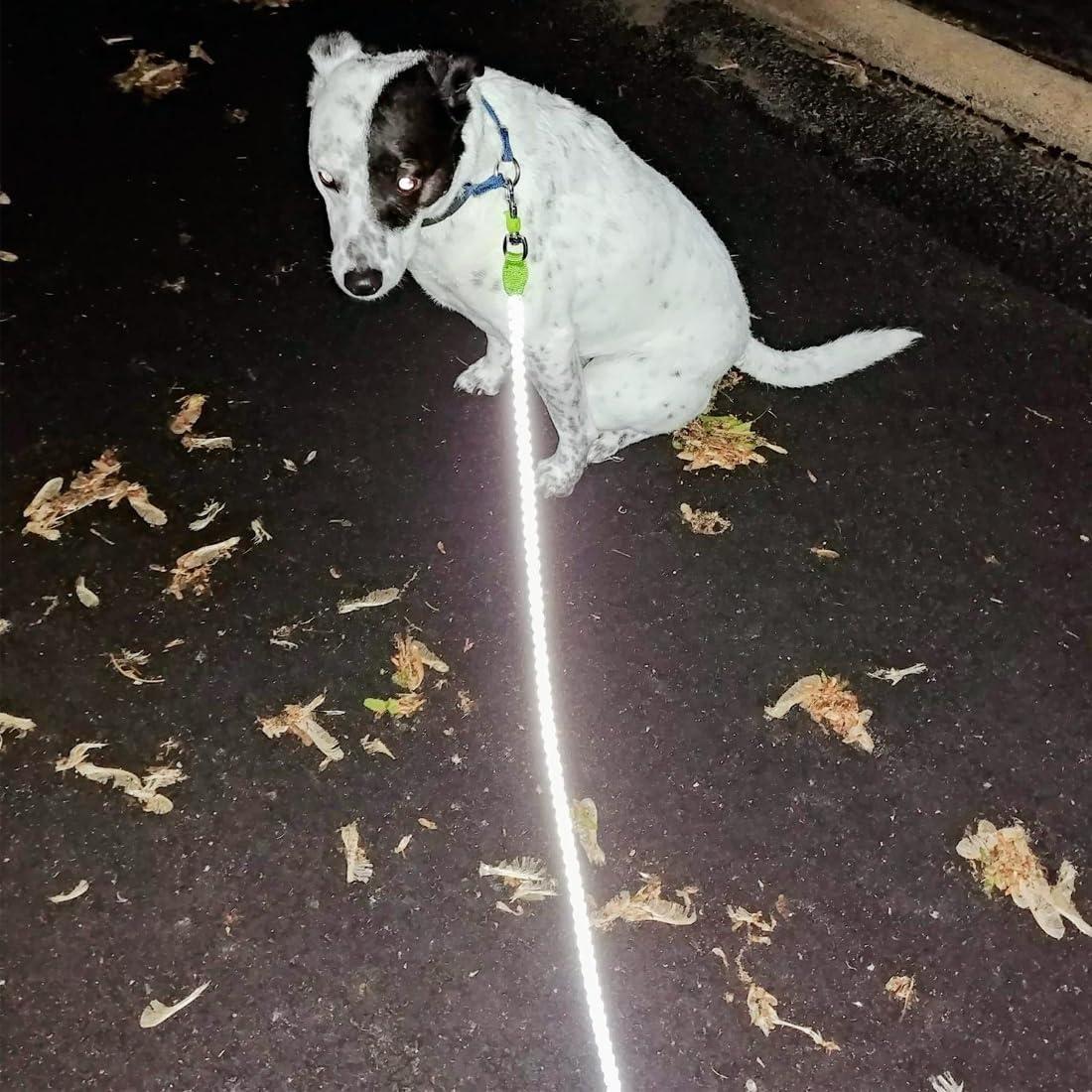 Correa Reflectante para Perros Mycicy 1.83m Rosa Nylon