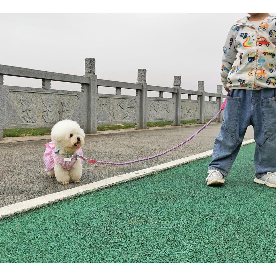 Correa Reflectante para Perros Mycicy 1.83m Rosa Nylon