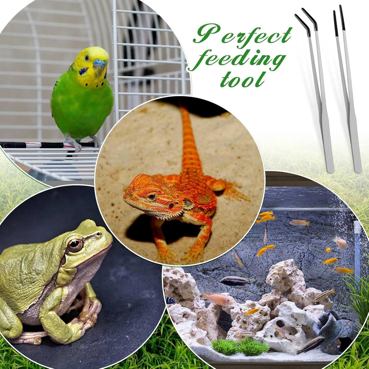 Pinzas de Acero Inoxidable Lasnten para Reptiles 25.4 y 26.7 cm