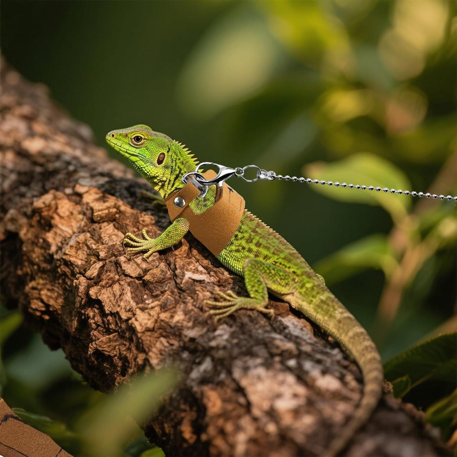 Paquete de 3 Arnés y Correa Ajustable para Dragón Barbudo