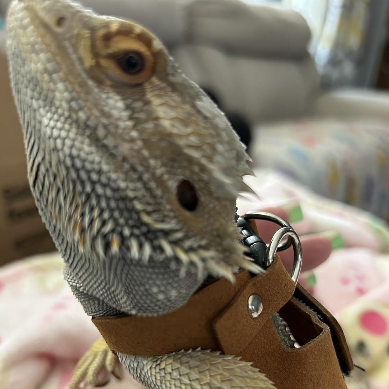 Juego de Arnés y Correa Ajustable KEECAO para Dragón Barbudo