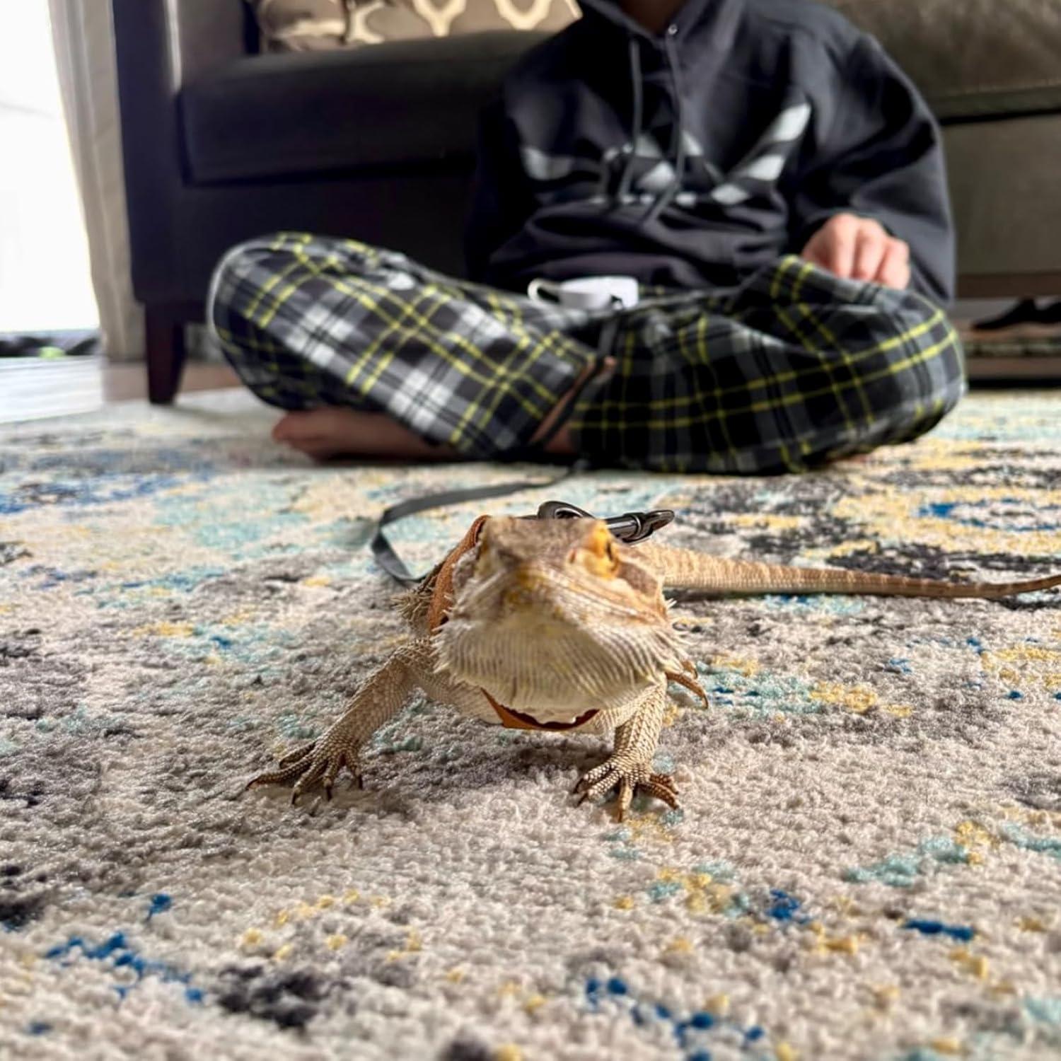 Juego de Arnés y Correa Ajustable KEECAO para Dragón Barbudo