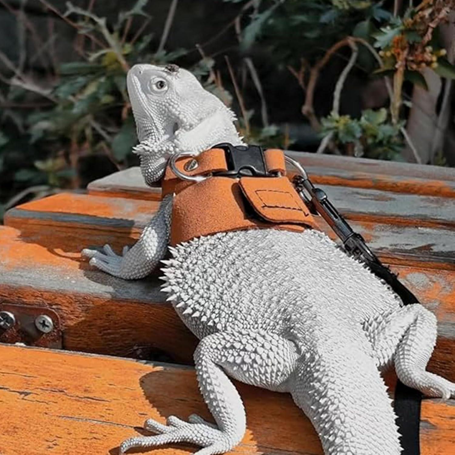 Juego de Arnés y Correa Ajustable KEECAO para Dragón Barbudo